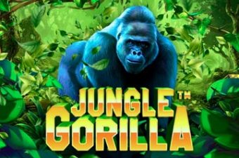 Jungle Gorilla